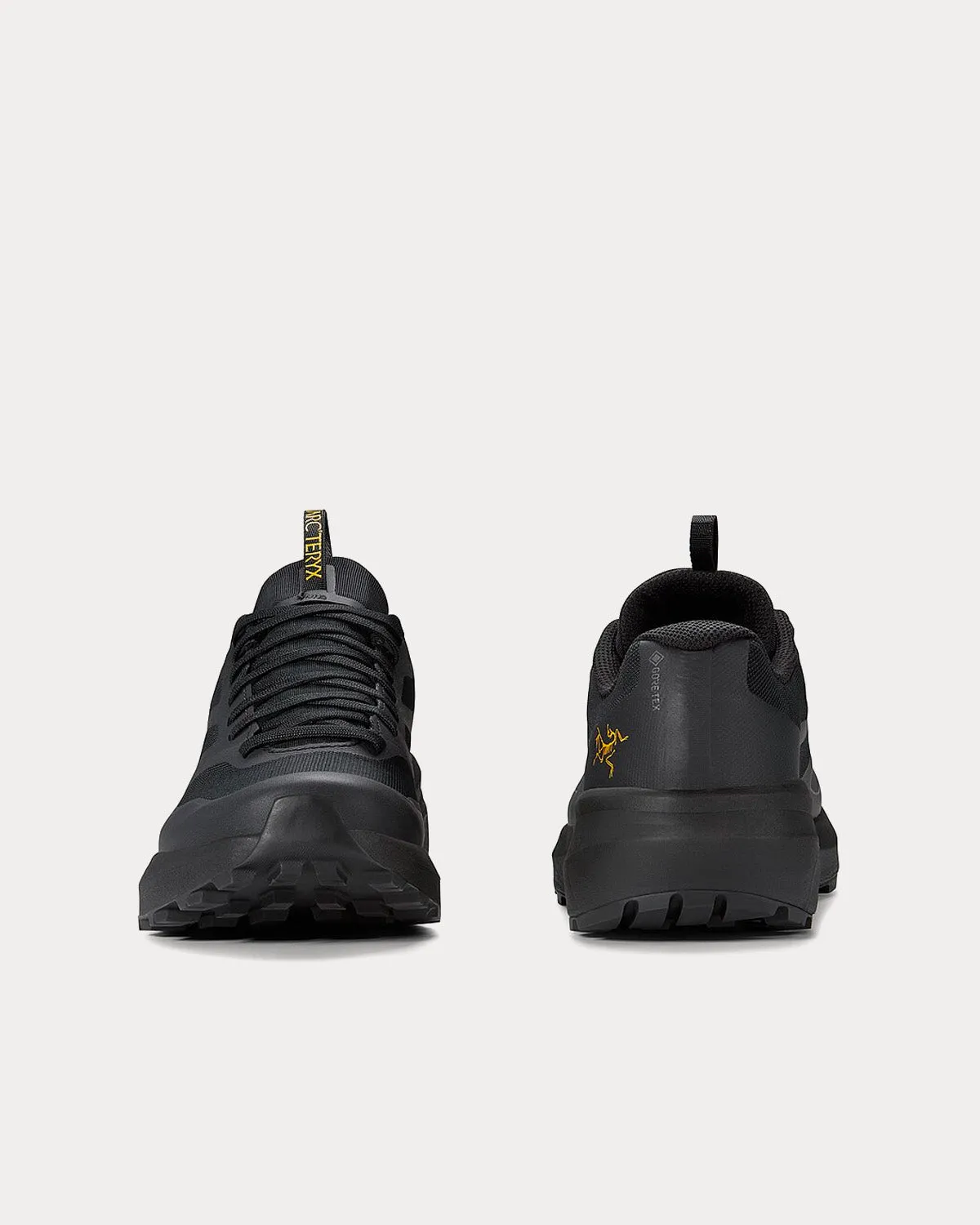 Norvan LD 3 GTX Black / Black Running Shoes