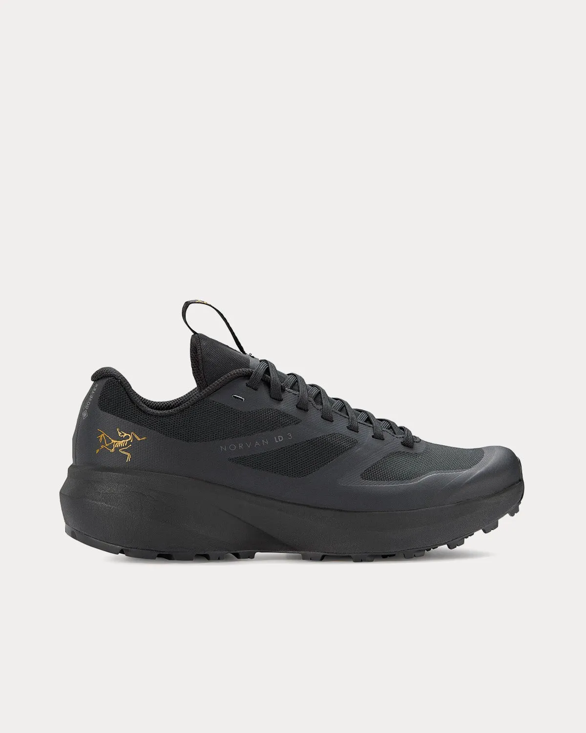 Norvan LD 3 GTX Black / Black Running Shoes