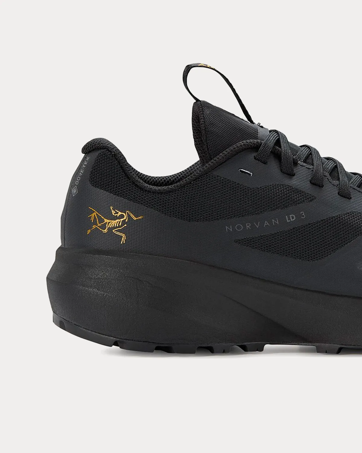Norvan LD 3 GTX Black / Black Running Shoes